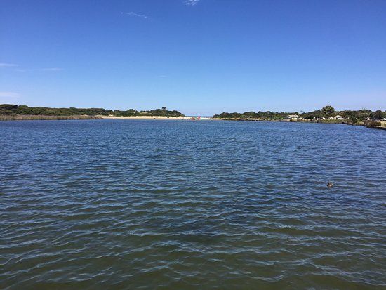 Coogoorah Park Nature Reserve